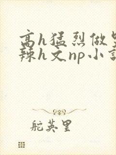 高h猛烈做哭高辣h文np小说