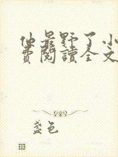 书籍封面