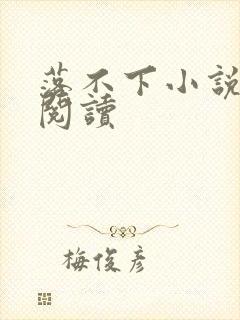落不下小说免费阅读