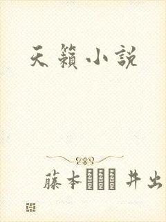 天籁小说