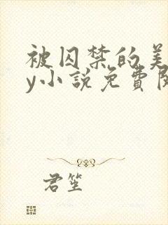 被囚禁的美人by小说免费阅读封面