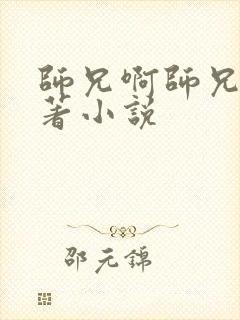 师兄啊师兄的原著小说封面