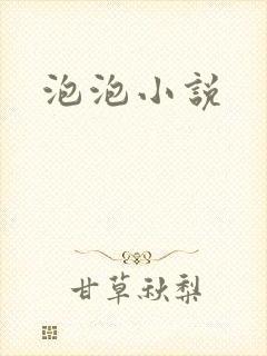 泡泡小说