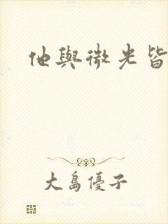他与微光皆倾城封面
