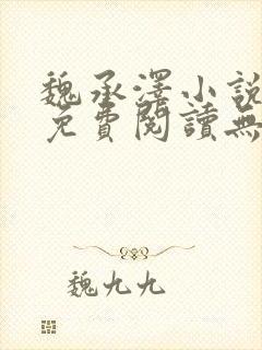 魏承泽小说全文免费阅读无弹窗笔趣