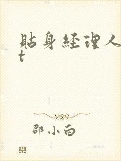 贴身经理人txt