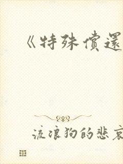 《特殊偿还》