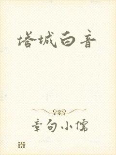 塔城白音封面