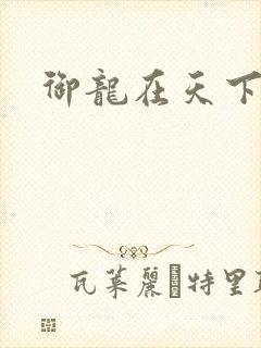 御龙在天下载