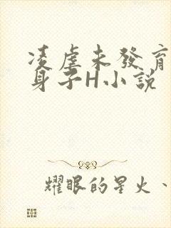 凌虐未发育的小身子H小说