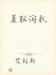羞耻游戏封面