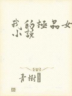 我的极品女老师小说封面