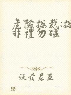 危险总裁:总裁非礼勿碰