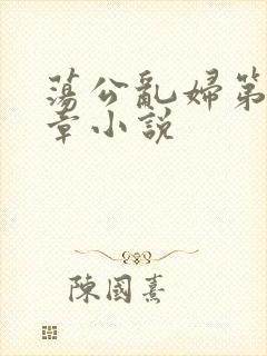 荡公乱妇第51章小说