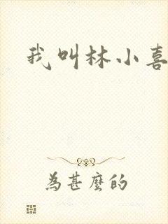 我叫林小喜17