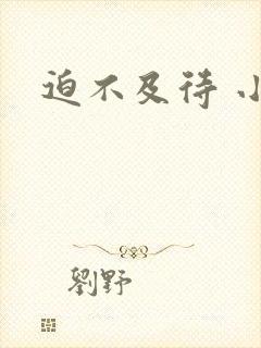 迫不及待 小穴