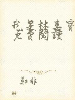 我是林喜宝小说免费阅读