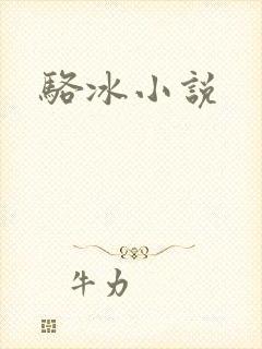 骆冰小说