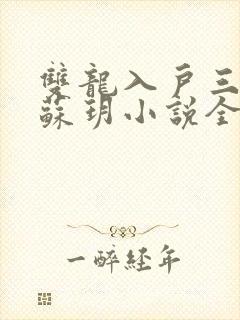 双龙入户三人行苏玥小说全文阅读