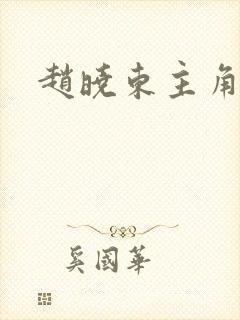 赵晓东主角小说
