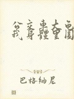 公交车大龟廷进我身体里图封面