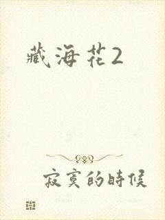 藏海花2