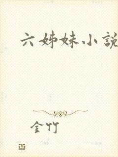 六姊妹小说封面