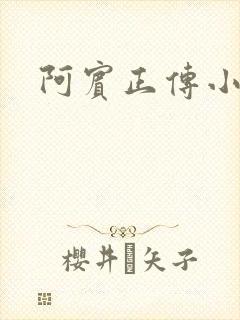 阿宾正传小说