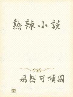 热辣小说
