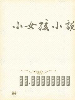 小女孩小说封面