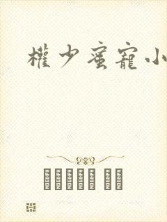 权少蜜宠小娇妻