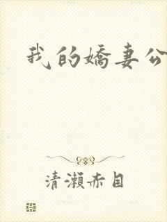我的娇妻公务员