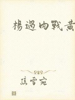 杨过肉战黄蓉