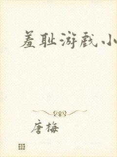羞耻游戏小说