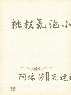 桃枝气泡小说封面