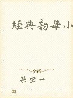 经典韵母小说封面