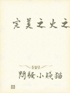 完美之火之灰烬封面