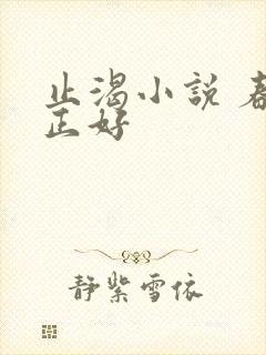 止渴小说 春光正好封面