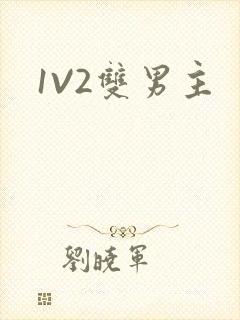 1V2双男主