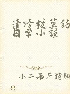 清冷校草的堕落日常小说