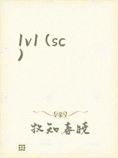1v1 (sc)