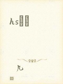 hsС˵封面