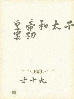 皇帝和太子妃h云初封面