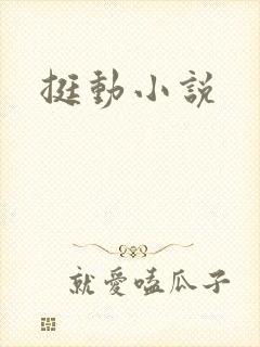 挺动小说