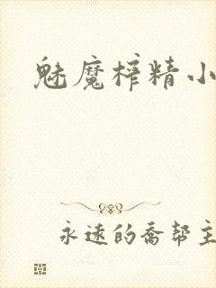 魅魔榨精小说封面