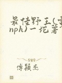 最佳野王(电竞nph)一坨薯饼