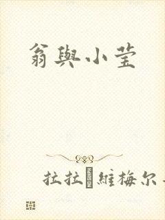 翁与小莹封面