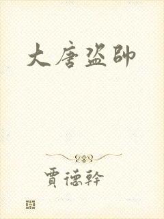大唐盗帅