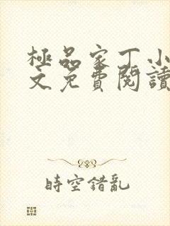 极品家丁小说全文免费阅读封面