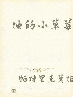 他的小草莓封面